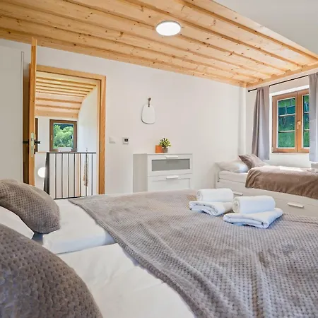 Dve - Apartament